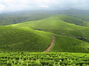 TARABA @ 35: THE GOOD, THE BAD AND THE UGLY