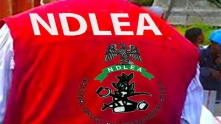 NDLEA Taraba State Command