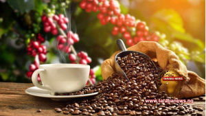 Turkish Investors Eye 1,500 Tonnes of Taraba Products Quarterly
