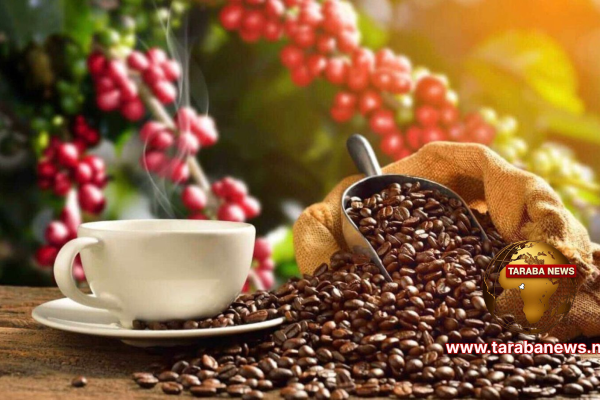 Turkish Investors Eye 1,500 Tonnes of Taraba Products Quarterly