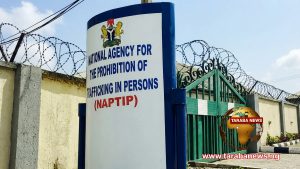 Taraba, NAPTIP Intercept Six Persons Allegedly Being Trafficked to Ibadan